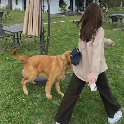青春华丽丽